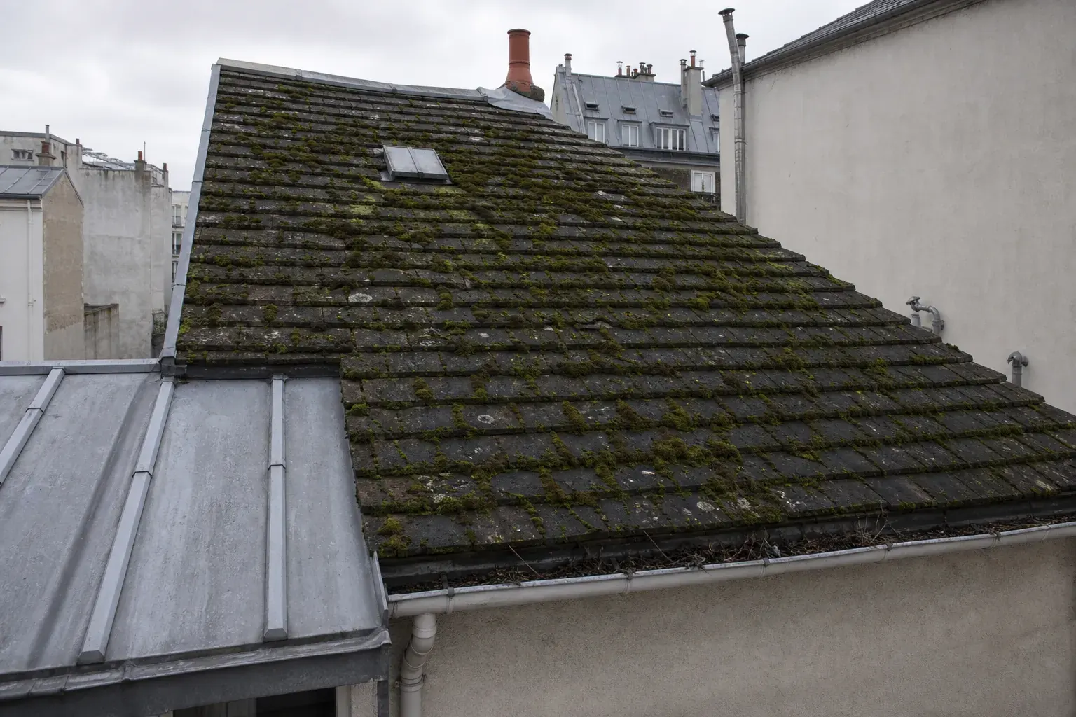 Toiture de pavillon envahie de mousse et de lichen, coussins verts entre les rangs de tuiles, gouttière obstruée